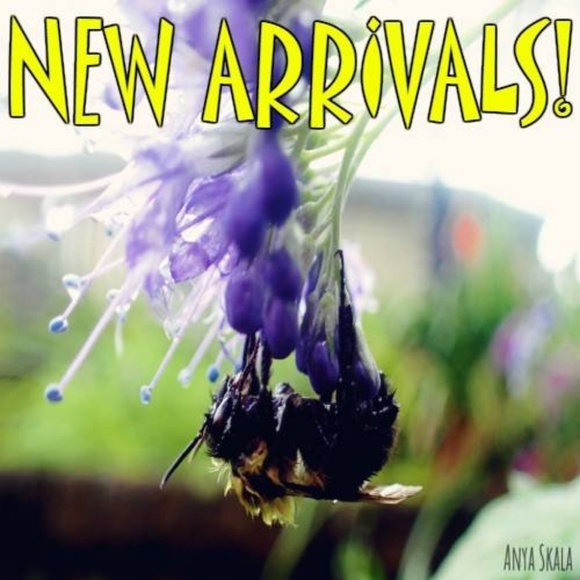 New Arrivals - Picture 1 of 1